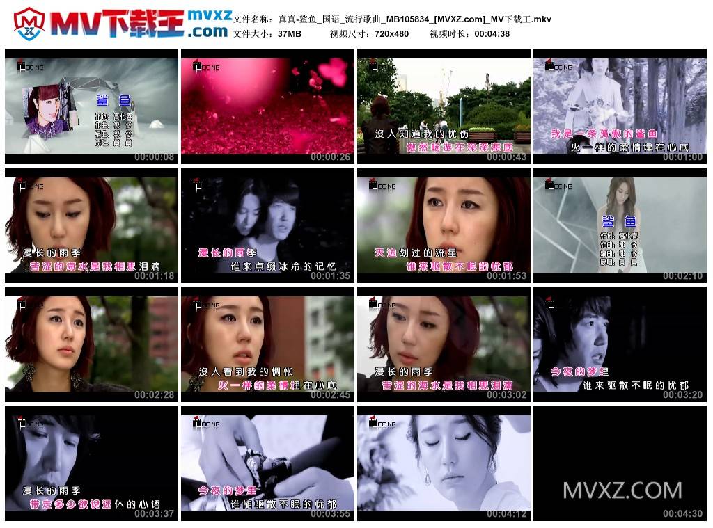 真真-鲨鱼_国语_流行歌曲_MB105834